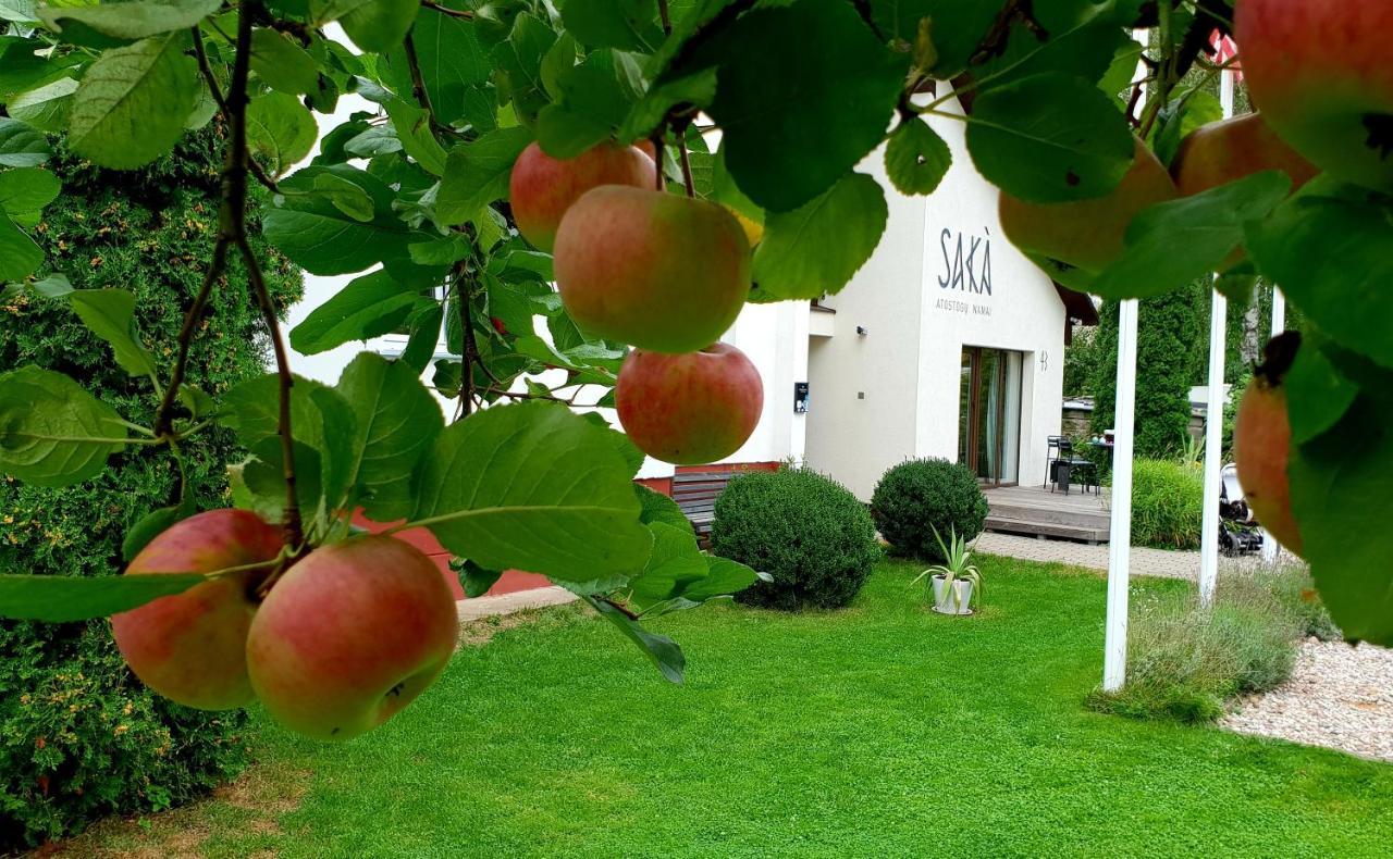 Saka Vacation House 드루스키닝카이 외부 사진